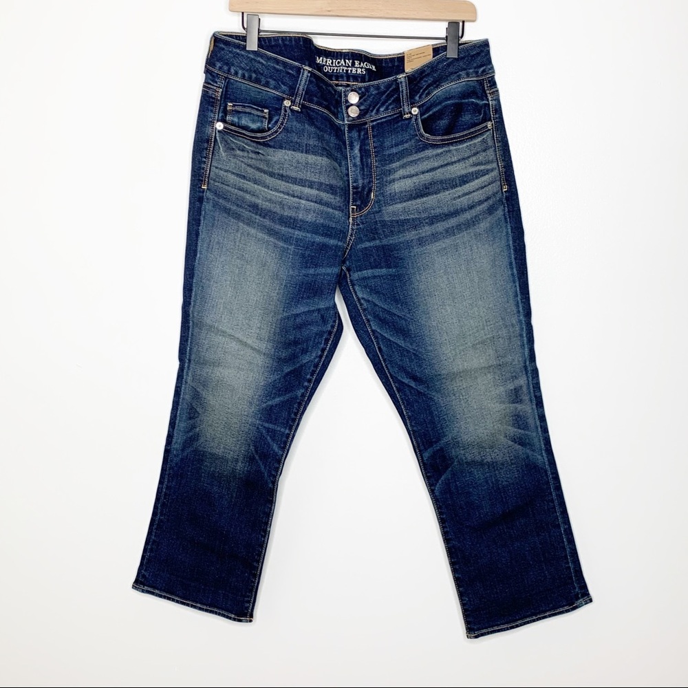 NWT American Eagle Plus Size Hi-Waist Artist Crops